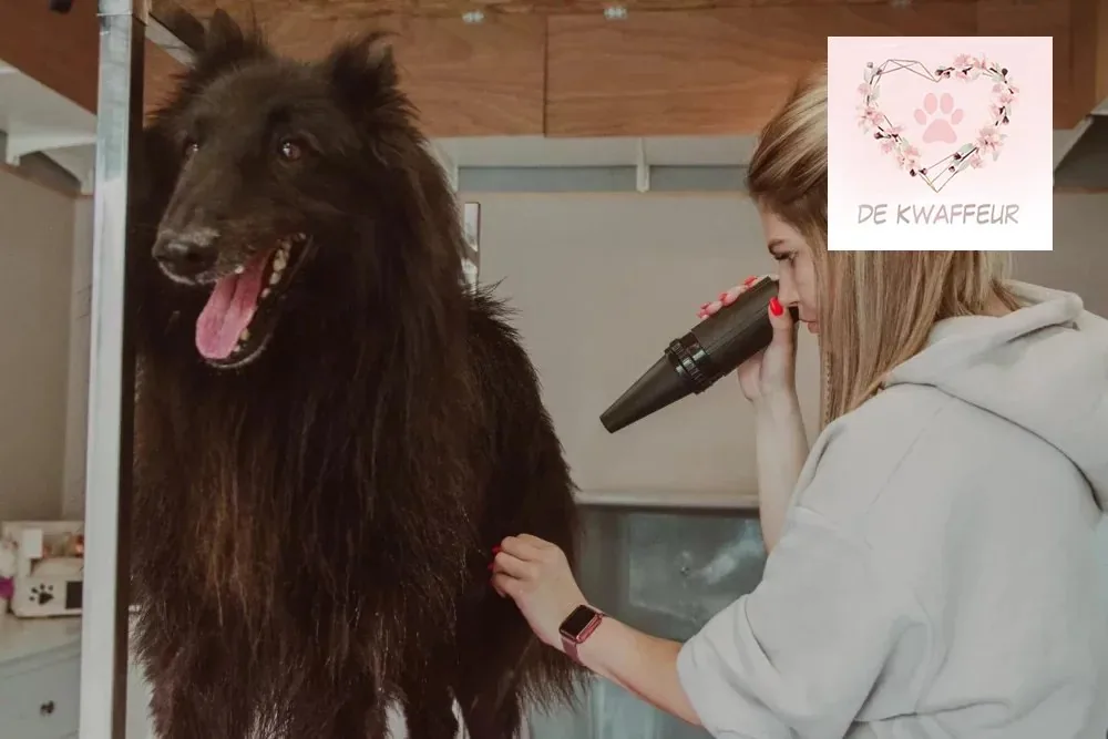 Getrimde hond bij De kWAFfeur, foto 21