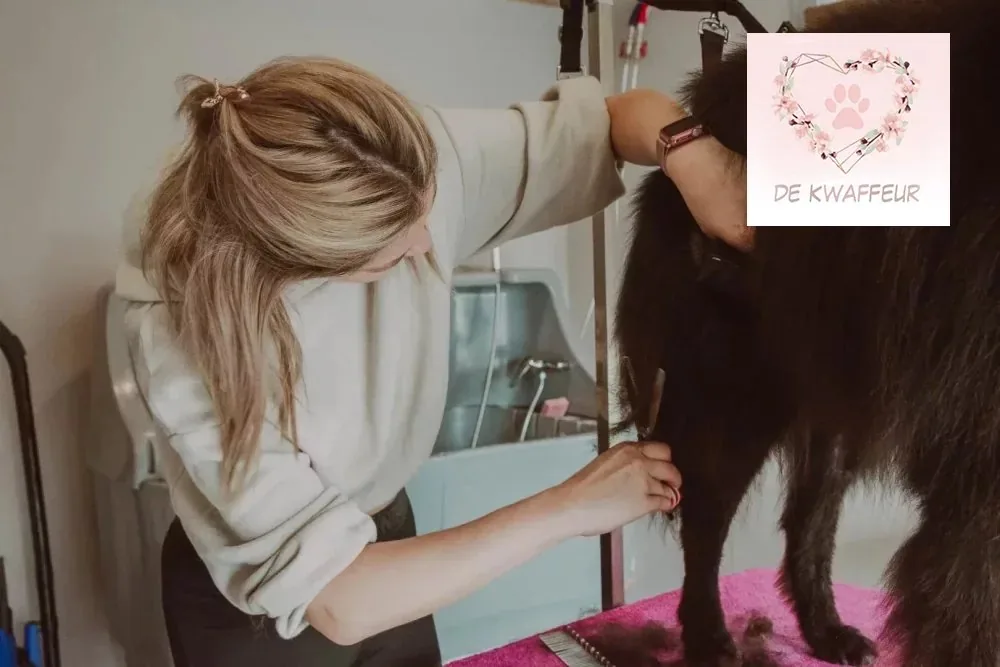 Getrimde hond bij De kWAFfeur, foto 22